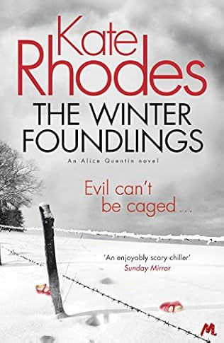 The Winter Foundlings  - Kate Rhodes