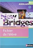 New Bridges Terminales