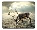 Produktbild Wild Reh Mauspad, Gaming Maus Pad (25,9 x 20,8 cm)