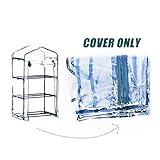 Piante rampicanti sempreverdi resistenti al freddo