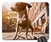 Produktbild Size is a matter of perspective Mouse Pad, Mousepad (Dogs Mouse Pad)