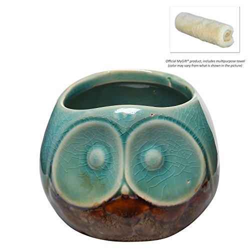 MyGift 7,6 cm türkis & braun kleine Eule Design Keramik Sukkulente Übertopf/Flower Bud Topf/Mini Deko Vase - 6