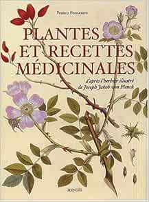 couverture de : Plantes et recettes m&eacute;dicinales