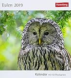 Eulen - Kalender 2019: Kalender mit 53 Postkarten by 