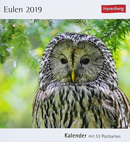 Eulen - Kalender 2019: Kalender mit 53 Postkarten