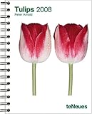 Tulips 2008 by 