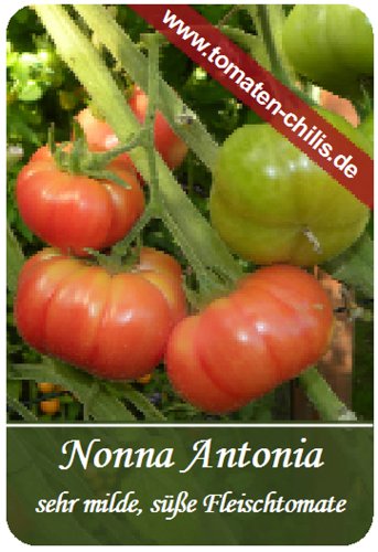 Tomaten Samen - 15 Stück - Nonna Antonia - Fleischtomate