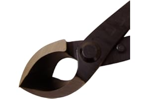 GENKI-BONSAI Bonsai Konkavzange Profi Qualität aus poliertem Stahl schwarz Bonsaizubehör (Bonsai Konkavzange 17 cm lang Profi Qualität aus poliertem Stahl mit schwarzem Finish Bonsaizubehör)