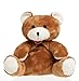 Cherry Belly Microwavable Teddy Bear (Bear)