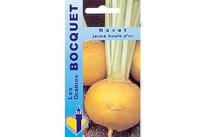 Sachet de graines de Navet jaune Boule d'or - 6 g - légume racine - LES GRAINES BOCQUET