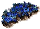 ERGEOB Pfauenfedern blaufedern DIY Basteln Federn 6-8 cm (2-3 Zoll) Länge -
