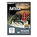 Produktbild Aal Total (DVD)