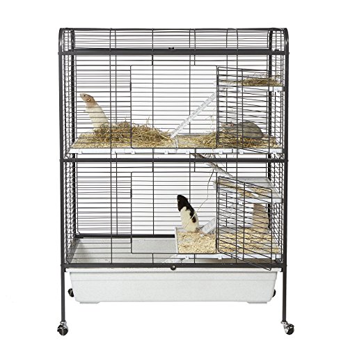 Little Zoo Aventurier Cage