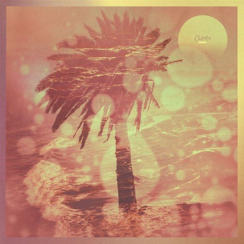 Preisvergleich Produktbild Homey [Vinyl LP]