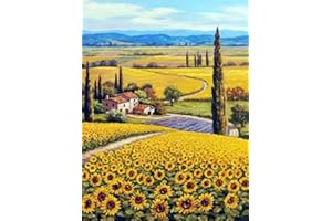 HautStore Diamond Painting Kit Completo,Pittura Diamante DIY Motivo di Girasoli Pittura a Mosaico Fai da Te 5D Ricamo a Punto Croce con Strass Decorazione in Tela Fai da Te da Parete 30 * 40cm