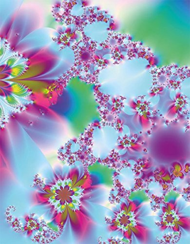 Preisvergleich Produktbild Fractal II: Blankbook (Blankbook (RB906))