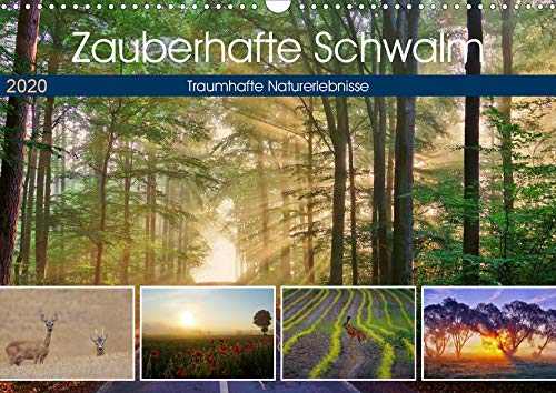 Zauberhafte Schwalm (Wandkalender 2020 DIN A3 quer)