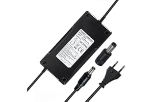 YZPOWER 48V 4A Rapide Chargeur De Trottinette Électrique, 48V 13S Lithium Batterie Output 54.6V Chargeur pour Trottinette Électrique, Velo électrique, Scooter, DC 5.5 * 2.1mm Connecteur