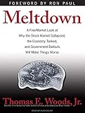Meltdown: A Free-Market Look at Why the Stock Market Collapsed, the Economy Tanked, and Government Bailouts Will Make Things Wor by 