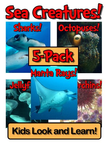 Download Sea Creatures! Learn About Sea Creatures and Enjoy Colorful Pictures - Look and Learn! (250+ Photos of Sea Creatures)