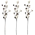 Aisamco 3 Pack Cotton Stems Farmhouse Decoration Floral Picks Rustic Style Vase Filler Rustic Cotton Branches 26.8'' Per Stem Decoration Flower