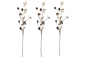 Aisamco 3 bawełniane łodygi, dekoracja wiejska, dekoracja kwiatowa, rustykalny styl, wypełniacz wazonów, rustykalne gałązki bawełniane, 68 cm, na łodygę, dekoracja kwiatowa