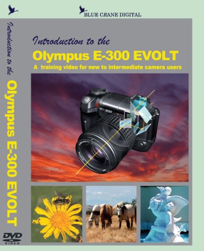 Preisvergleich Produktbild Introduction to the Olympus E-300 EVOLT