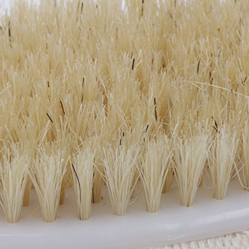 LOOKOUT SPA Bad Dusche Körper Wäscher Borsten Pinsel mit Palm Riemen - 6