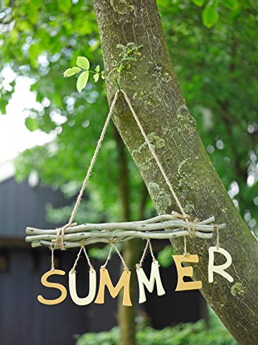 NaDeco® Maulbeeren Bündel ca. 50cm, mit 5 Haken und Sisal Kordel | Weidenbündel | Weiden Bündel | Deko Zweige mit Kordel | Deko Bündel | Fensterdekoration | Türdeko | Türhänger | Fensterdeko | Fensterhänger | Türhänger | Deckenkranz | Deko-Hänger | Windlicht-Hänger - 4