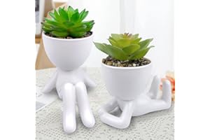 ODIWEN 2Pcs Plantas Suculentas Artificiales, Planta Artificial Decorativa, Pequeñas Plantas Artificiales, Plantas Decoración Suculentas, Mini Plantas Falsas de Plástico, Plantas Artificiales Pequeñas