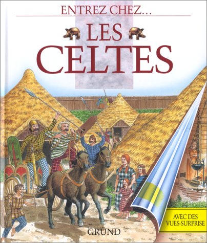 couverture de : Entrez chez les celtes
