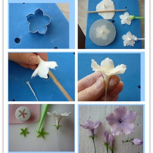 anyana Metall Zuckerguss Keks-Ausstecher Parrot Tulip Backen Morning Glory Blumen-Set von 6 Sugarcraft Kuchen dekorieren Cupcake Form Tools Topper Edelstahl Gebäck - 2