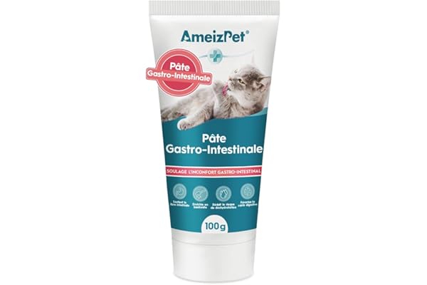 AmeizPet Pâte Gastro Intestinale pour Chats, Soutien Gastro Intestinal pour la Santé Intestinale et la Flore Intestinale, Complément Digestif pour Chats et Chatons, 100 g (3.53 Oz)