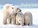 Eisbären 2019, Wandkalender im Querformat (45x33 cm) - Tierkalender mit Monatskalendarium by
