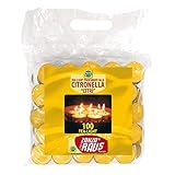 Mondo Verde LUZ01 - Pack de 100 velas citronela antimosquitos de 3.8 x 1.5 cm, color amarillo