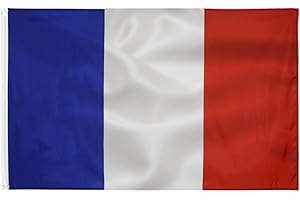 TCTOHZNG Flaga francuska 90x150cm-flaga francuska z oczkami mosiężnymi poliester Jasne kolory - Do użytku na zewnątrz i wewnątrz French flag Drapeau français