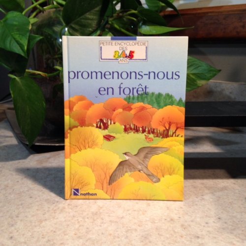 couverture de : Promenons-nous en f&ocirc;ret