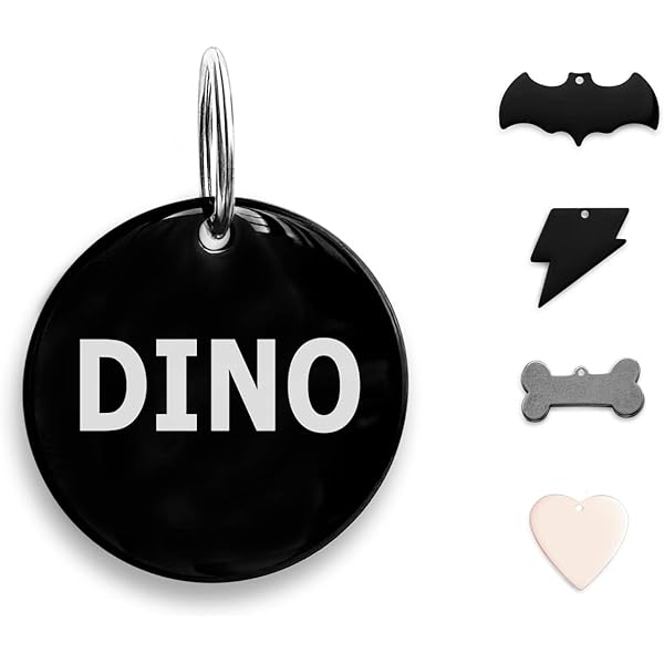 °. ♡ .° ADOGINTHEHOUSE 316 Acero Inoxidable de Nombre Collares