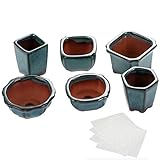 Artículos decorativos - hace adornos de mesa, ventanas y más; también se puede utilizar como mini macetas de almacenamiento para guardar llaves, monedas, bolígrafos, etc.