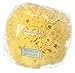 Hydrea London Natural Honeycomb Sea Sponge 4.5 - 5"