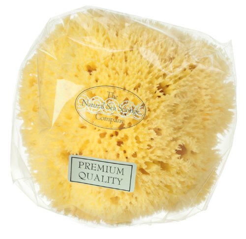Hydrea London Natural Honeycomb Sea Sponge 4.5 - 5"