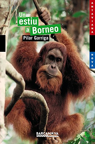 Un estiu a borneo (llibres infantils i juvenils - antaviana - antaviana blava)