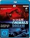 When Animals Dream [Blu-ray]