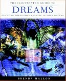 Image de The Illustrated Guide to Dreams