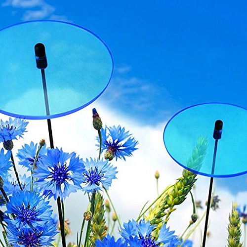 Lichtzauber Scheibe groß, 20 cm, blau - 2