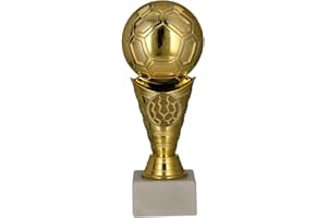 Larius Trophée de Football ST2