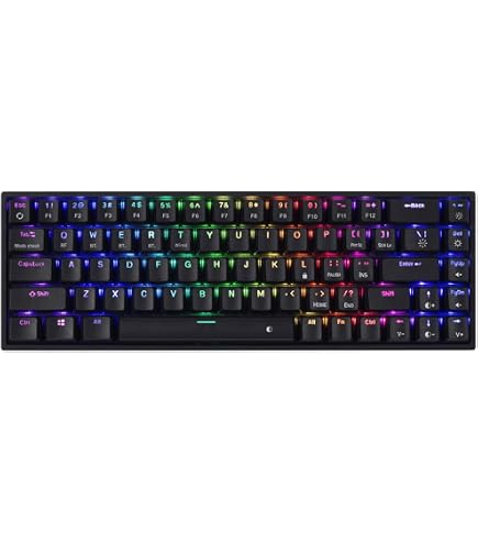 Amazon.in: Buy Wooting 80HE Linear60 v2 English Sequence US-ANSI