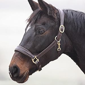 Shires Leder Travel Halfter