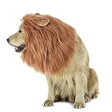 - Esta peluca de león única es perfecta para perros grandes o medianos.