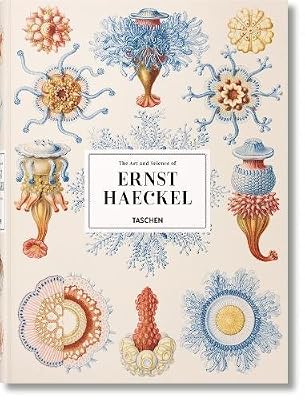 XL-Haeckel